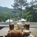 라벤다 | 충남 보령 카페 추천 | 라벤더 포레스트 내돈내산 후기 🌿