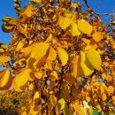 건지보건진료소 이미지