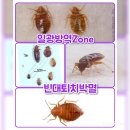 일광ZONE 이미지