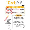 캣플헤븐 천안불당점 이미지