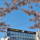슈무커수제맥주 네이버블로그