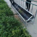 배식농장 이미지