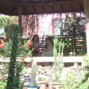 경인아인스 이미지