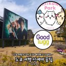 해리포터 스튜디오 치이카와 파크 굿럭 시부야스카이 공항리무진 스카이라이너 내돈내산 솔직 찐후기