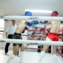 태산체육관 이미지