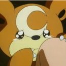 세온동물병원 이미지