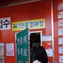 에버만물