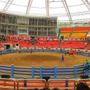 청도소싸움경기장 이미지