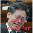점.하나 이미지