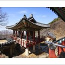 금종각 이미지