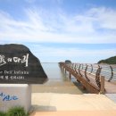 자은도에서 이미지