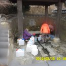 버드실샘 이미지