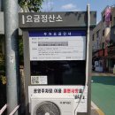 세경축산 | 평택 서정동 돈까스 맛집 오유미당 평택 송탄점 토마호크 돈카츠 추천 인생 돈까스