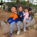 솔바람 유아숲체험원 이미지
