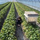 H K 농장 이미지