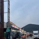 [부산 사하구] 다대포 야장 꼼장어 맛집 / 태평양산꼼장어 후기