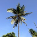 발리목욕탕 이미지