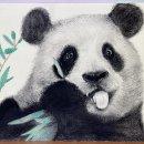 상상미술교습소 이미지