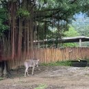 세연인쇄 | [🇹🇼대만 교환학생🇹🇼] 12월 셋째 주 일기 - 2