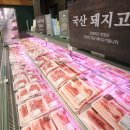돼지종합유통