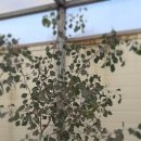 조제농장 이미지