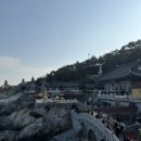 해동문구 | [부산] 해동용궁사후기｜바다 품은 절에서 2025 마무리하고 2026 새해 기도 다녀왔어요✨