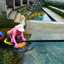 샛도리물 이미지