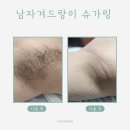 회원동124 이미지