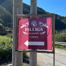 필리가 오토캠핑 이미지