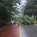 도내배수펌프장 이미지