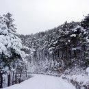 모악산 관광안내소 이미지