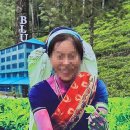 블루필드 이미지
