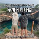 도기사우루스 | 발리 누사페니다 섬투어와 포테이토 헤드 비치클럽 메뉴 추천