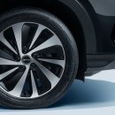 라이언모터스 이미지