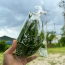 하하웜 | 전남 광주 근교 장성군 놀거리가 가득한 애견카페 하하웜