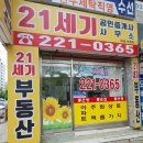 21세기공인중개사사무소 네이버블로그