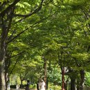 미추홀공원 이미지