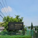 블루엔젤 하우스 | 일산 식사동 꽃집 유럽정원수 가든트리팜 백합 구매 후기