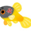 신비수족관