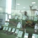 우포따오기 사진전 이미지