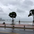 H7L 호스텔 이미지