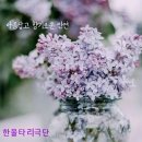 한울타리사람들 Daum카페