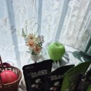 가온농장 | 원물 그대로 진하다✨ 제초제 없이 만든 두유가온 이야기