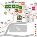 숲캠핑장 이미지