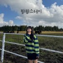 팜팜스테이 | [제주] 제주 에어비앤비 숙소 추천 초원과 말이 함께 있는 ‘팜팜스테이’ 109호 숙박 후기