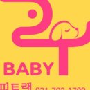 퍼피트랙 이미지