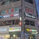 생생도도참치