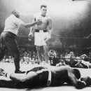 불스복싱 이미지