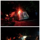 금다래캠핑장