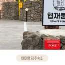 협재둥지 이미지